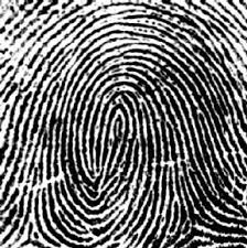 new-hire-fingerprinting